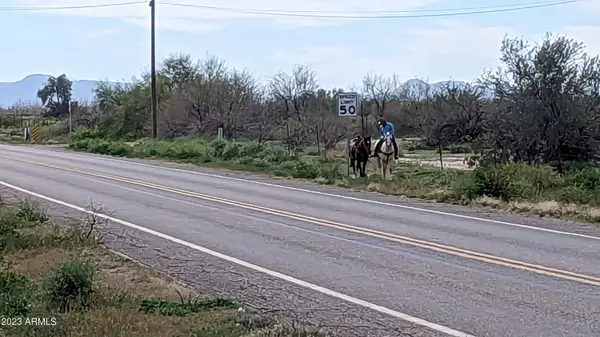 Eloy, AZ 85131,1 S Picacho Highway #-