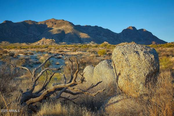 Scottsdale, AZ 85255,24422 N 128TH Way