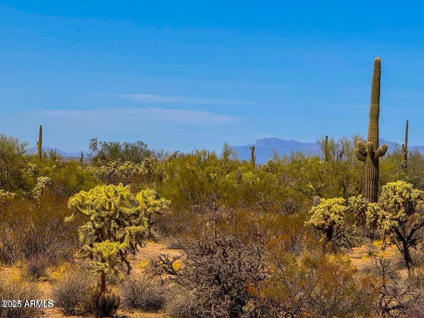 Florence, AZ 85132,0 N Hohokam Rd Lot 2 7.5 Acres -- #-