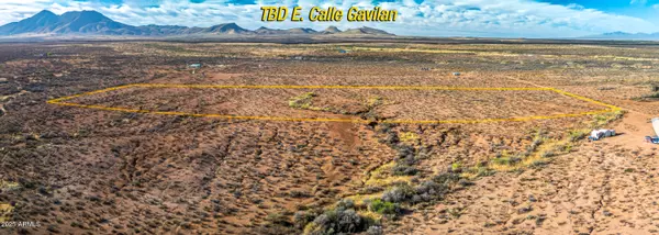 Hereford, AZ 85615,E Calle Gavilan -- #51