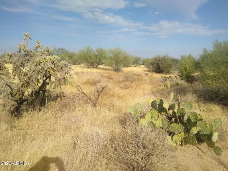 0 NW Longbranch Road #NULL, Tucson, AZ 85736