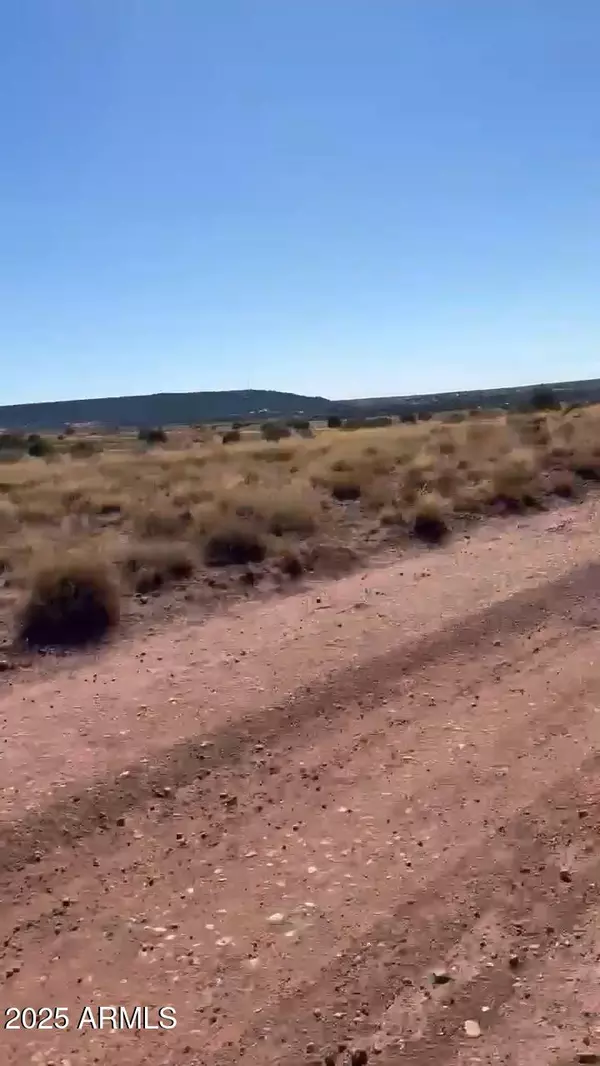 Snowflake, AZ 85937,9615 E Place Trl Trail #39