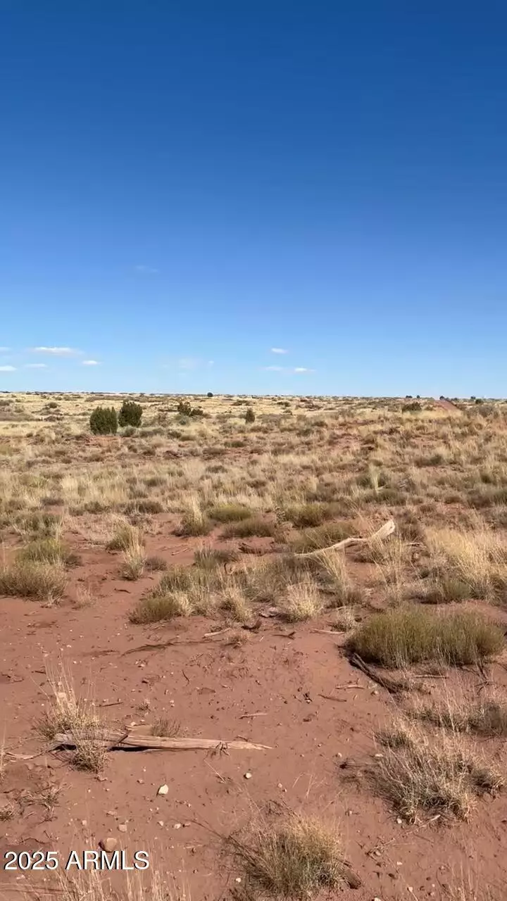 Snowflake, AZ 85937,9615 E Place Trl Trail #39