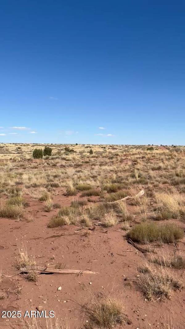 9615 E Place Trl Trail #39, Snowflake, AZ 85937