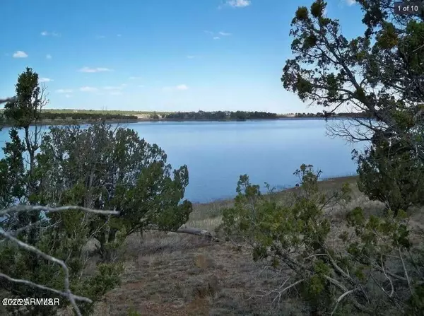 1955 Creekside Circle #76, Show Low, AZ 85901