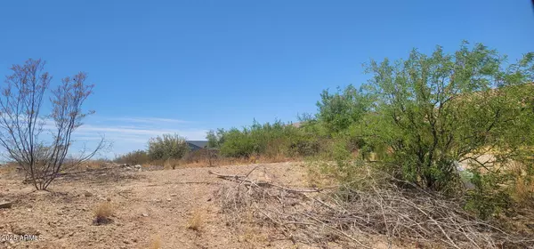 Douglas, AZ 85607,E 8th Street #85