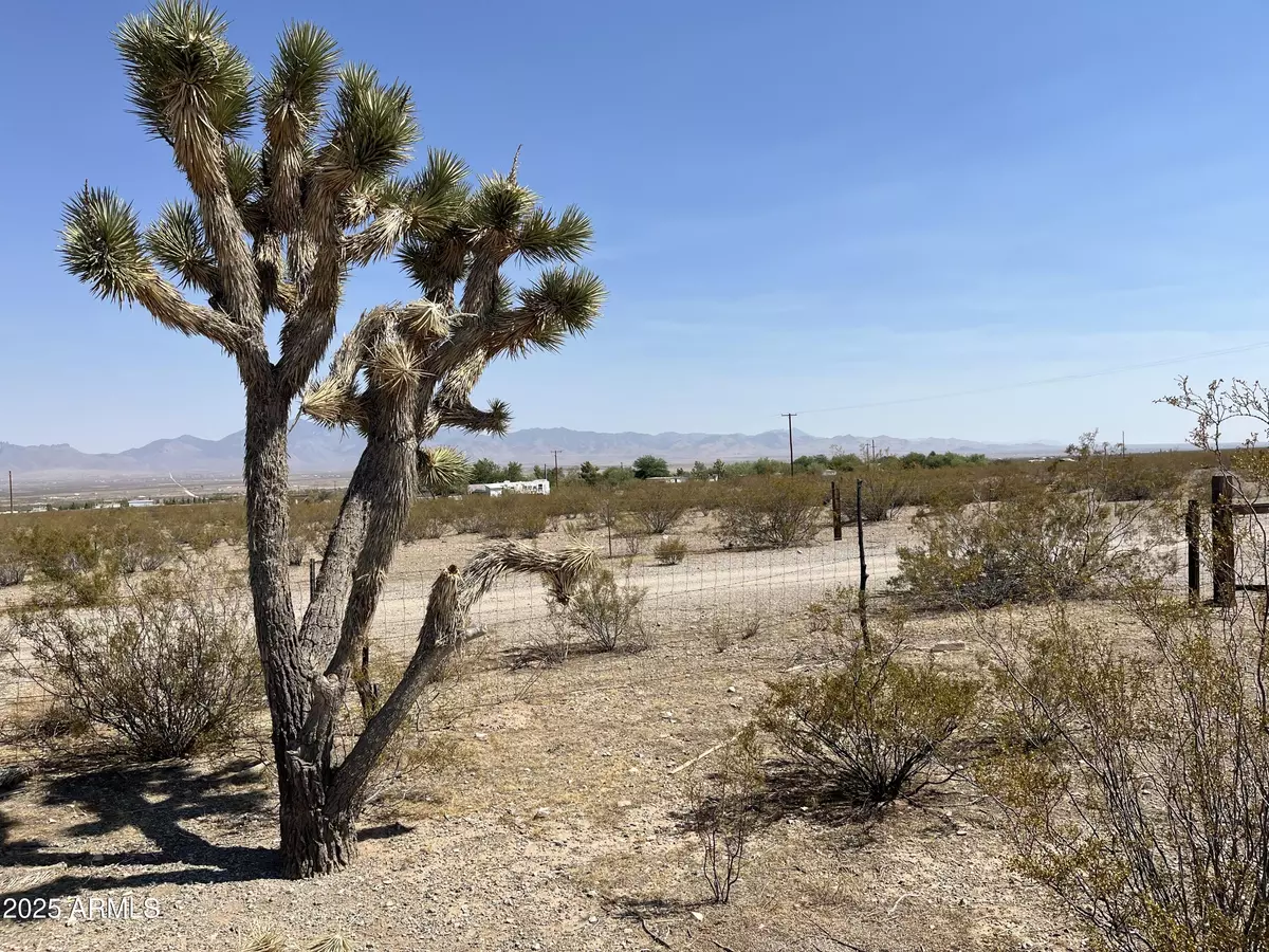 Dolan Springs, AZ 86441,N Diane Road #233