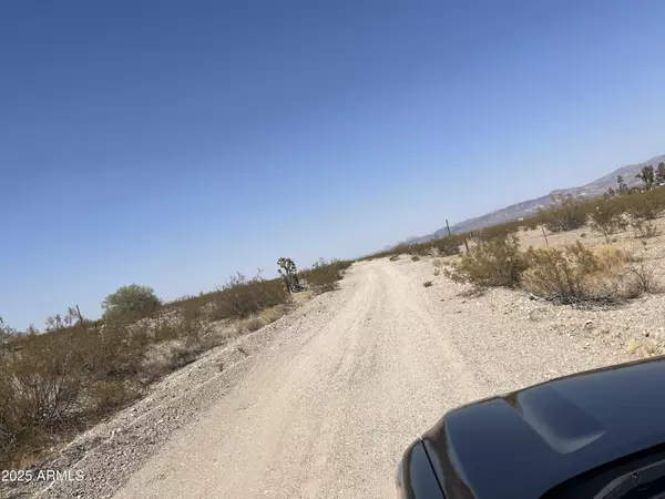 Dolan Springs, AZ 86441,N Joseph Road #271