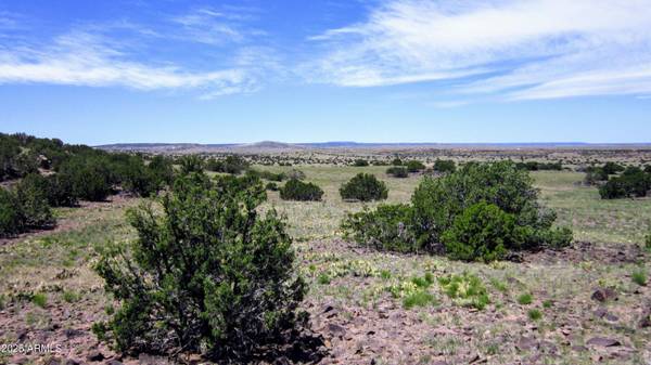 St Johns, AZ 85936,0 N6474 -- #216