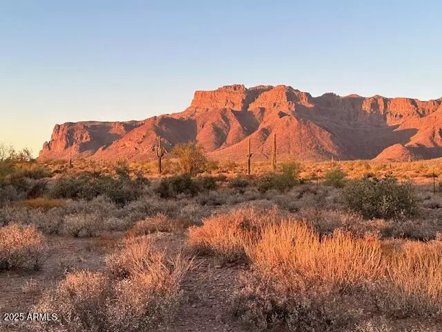 Gold Canyon, AZ 85118,9300 E Bunny Ear Ln  LOT 4-C Lane #Lot 4-C