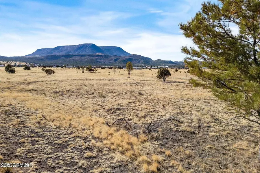 21 N COUNTY ROAD N2002 -- #26, Nutrioso, AZ 85932