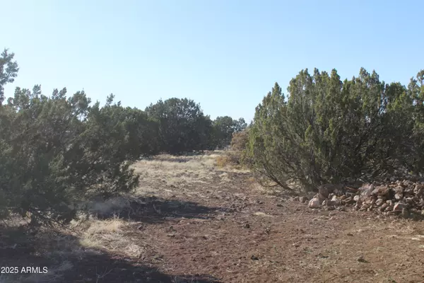 8588 Kaibab Lane #'-', Show Low, AZ 85901