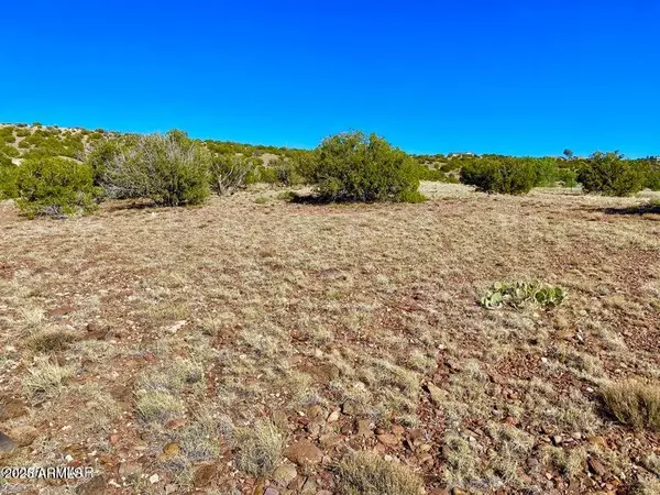 Concho, AZ 85924,Co Rd 5062 Lot 1 3.53 Acres -- #-