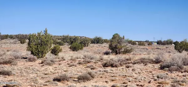 Snowflake, AZ 85937,5137 ENCANTO Road #-