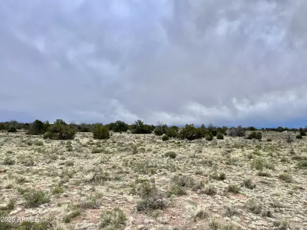 Williams, AZ 86046,3998 RED BUTTE Road #161