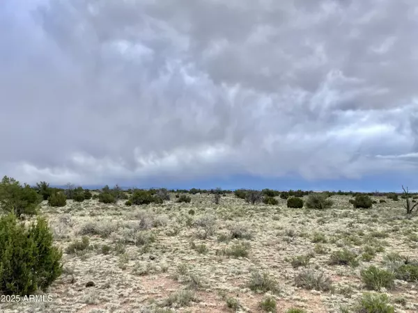 Williams, AZ 86046,3998 RED BUTTE Road #161