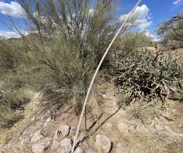 Queen Valley, AZ 85118,3605 N Zebra Trail #N