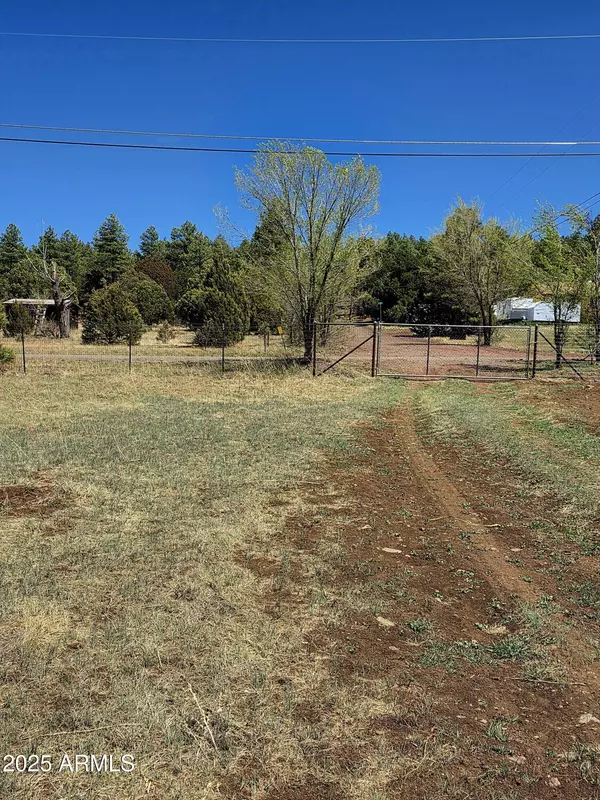 Lakeside, AZ 85929,2244 PARKINSON Road #-