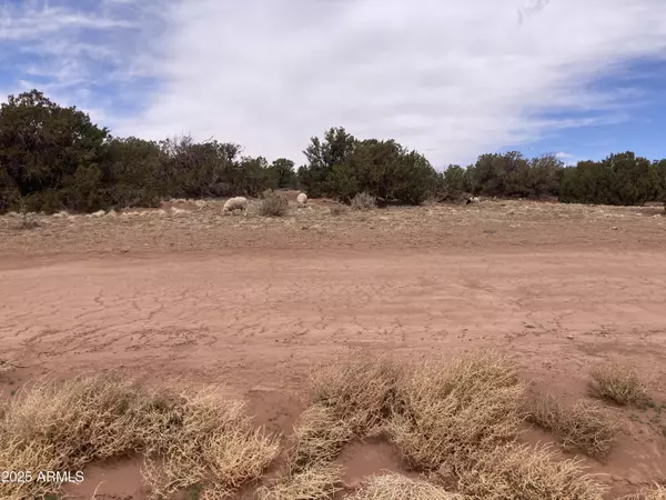 White Mountain Lake, AZ 85912,9979 TEXAS Lane #16