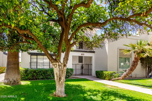 Scottsdale, AZ 85251,7684 E Minnezona Avenue