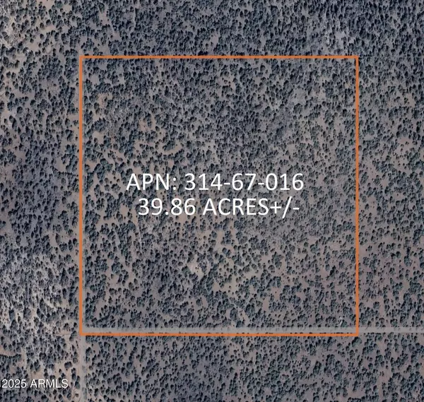 Peach Springs, AZ 86434,8711 N High Mountain Road #-