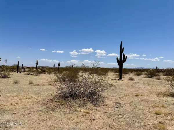 Florence, AZ 85132,0 Rattlesnake View -- #-