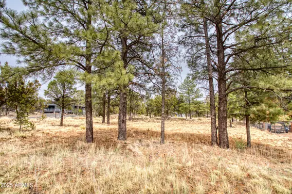 Overgaard, AZ 85933,3325 OX BOW BEND Road #396