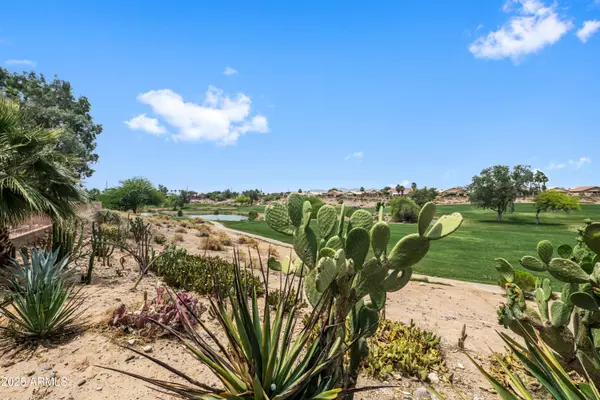 Surprise, AZ 85378,11553 W COTTONTAIL Court