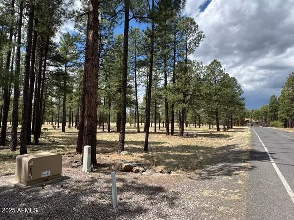 Flagstaff, AZ 86001,1 Hattie Greene -- #1