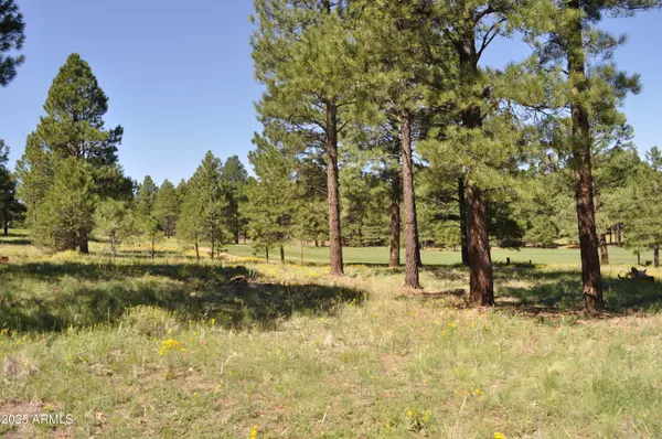 Flagstaff, AZ 86005,1600 E Castle Hills Drive #4