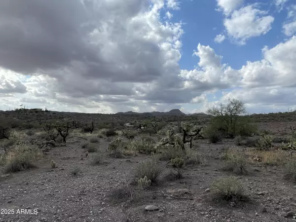Queen Valley, AZ 85118,0 N Elephant Butte Road #E