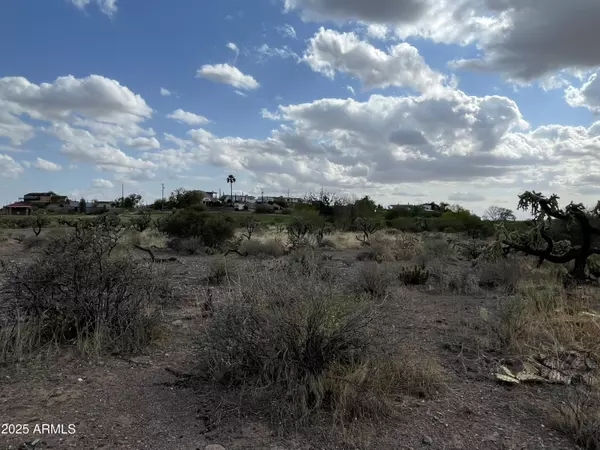 Queen Valley, AZ 85118,0 N Elephant Butte Road #E