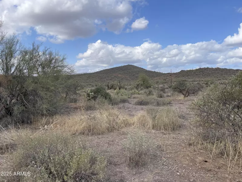 0 N Elephant Butte Road #F, Queen Valley, AZ 85118