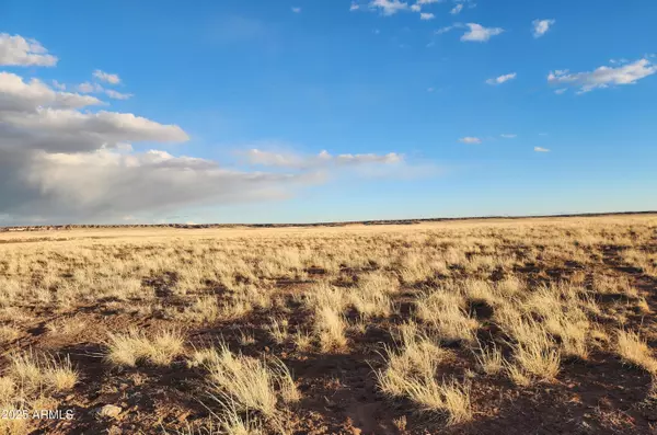 Concho, AZ 85924,159 County Rd N9303 -- #-