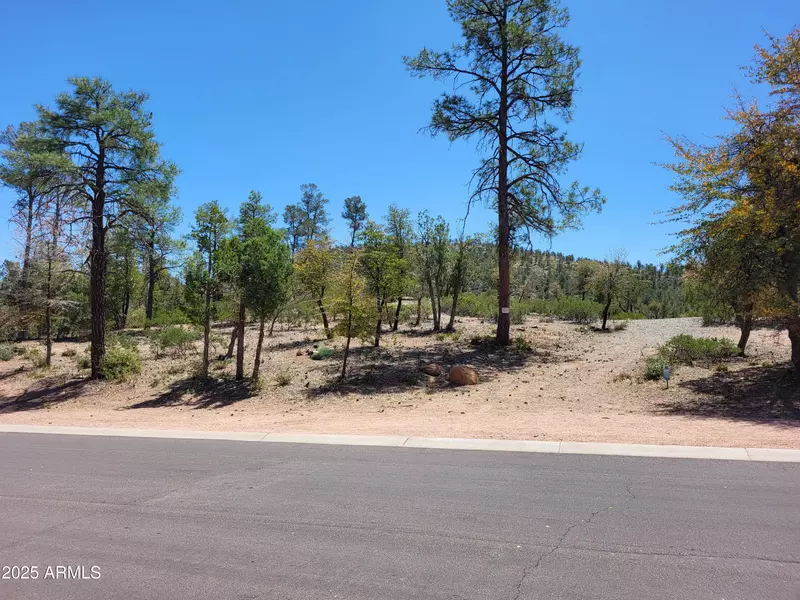 1201 E PHOENIX Street #13, Payson, AZ 85541