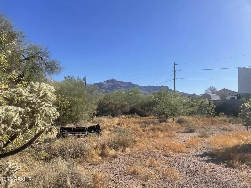6105 S ALAMEDA Road #169, Gold Canyon, AZ 85118