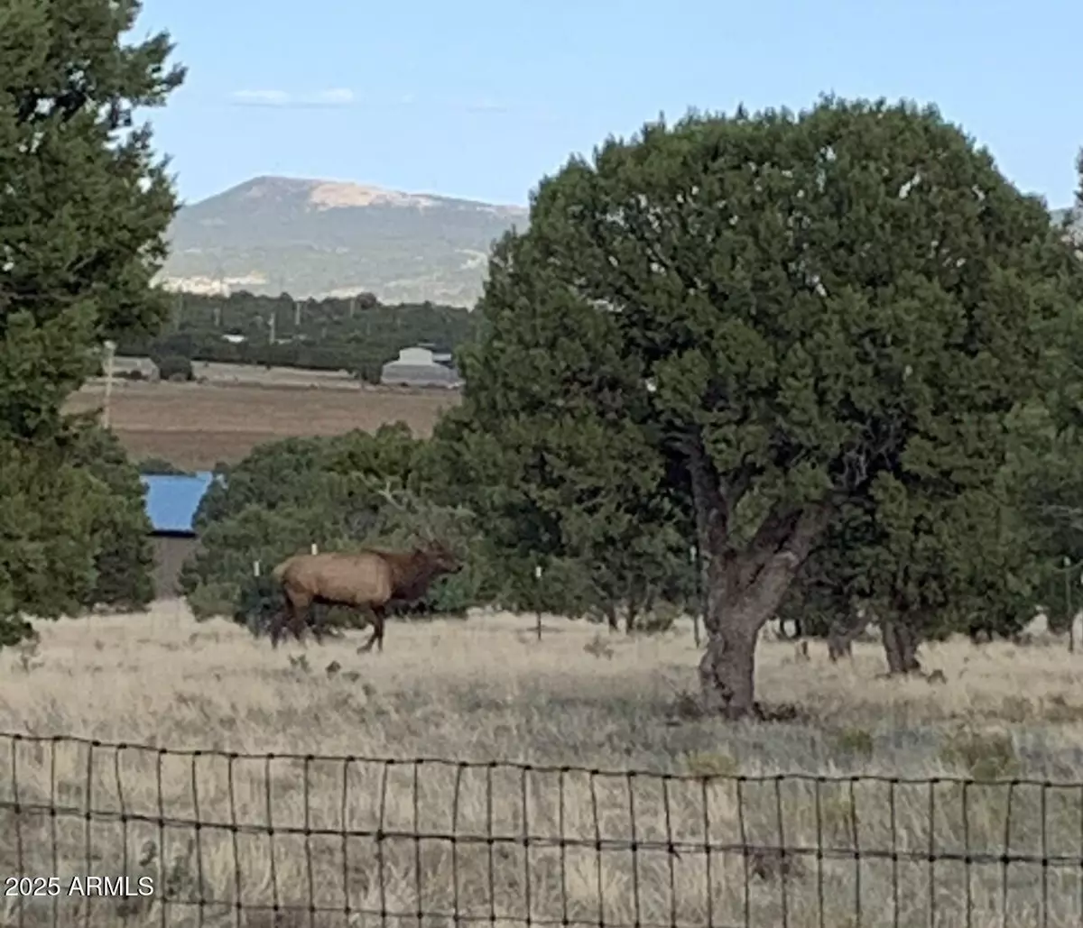 Vernon, AZ 85940,842 VERNON COUNTY Road #-