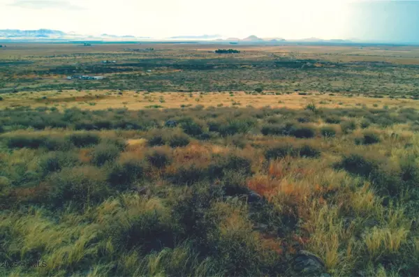 Willcox, AZ 85643,10575 S Solar Run 59 Acres -- #-