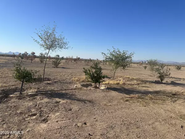 Tonopah, AZ 85354,48420 W Polk Street #-