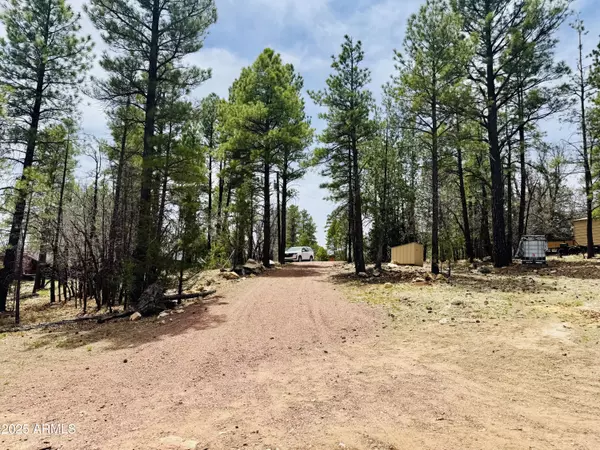 Happy Jack, AZ 86024,785 CABALLO Circle #695