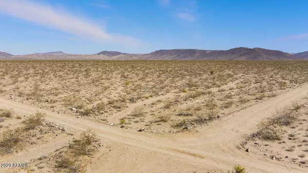 Willow Beach, AZ 86445,19393 N PONY Road #10