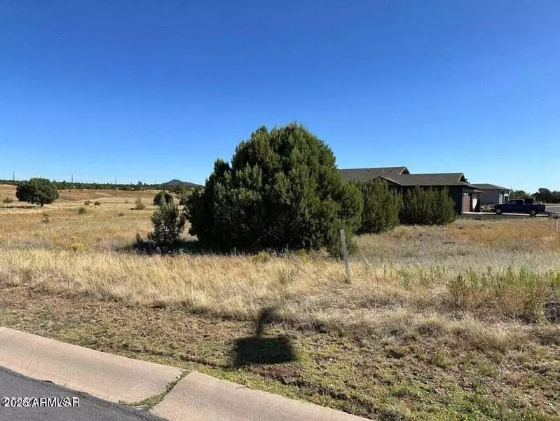 1161 S LORENZO SITGREAVES Drive #84, Show Low, AZ 85901