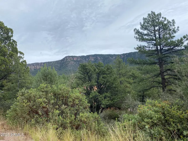 186 N TRAILS END Drive #186, Pine, AZ 85544