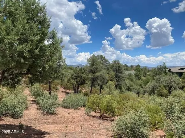 Payson, AZ 85541,2316 E BLUE BELL Circle #142