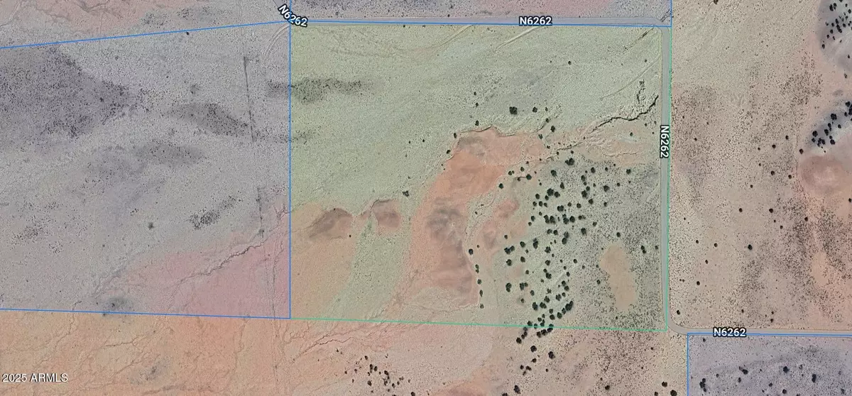 St Johns, AZ 85936,39 Acres Woodland Valley Ranch -- #62