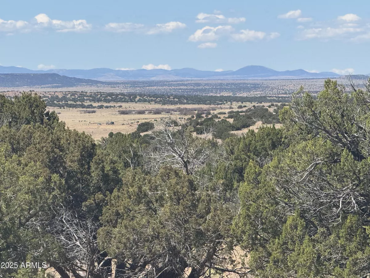 St Johns, AZ 85936,753 Woodland Valley Ranch -- #753