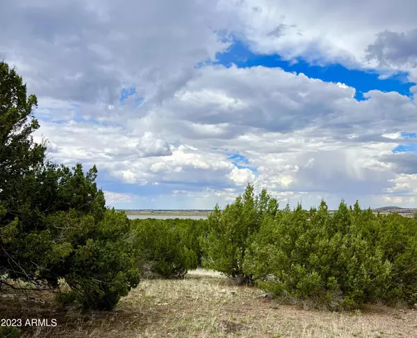 Concho, AZ 85924,County Rd N3440 -- #42