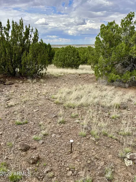 County Rd N3440 -- #42, Concho, AZ 85924