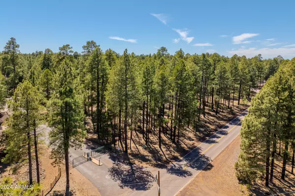 Pinetop, AZ 85935,4583 SKY HI Road #-