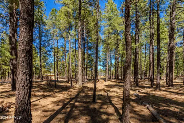 Pinetop, AZ 85935,4583 SKY HI Road #-